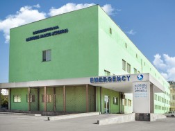 ციციშვილი
