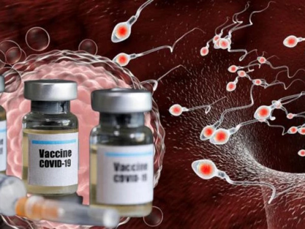 vaqcina da sperma