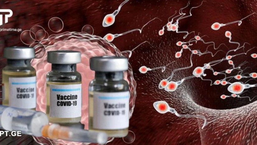 vaqcina da sperma