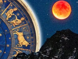 savsemTvareoba savsemTvareoba