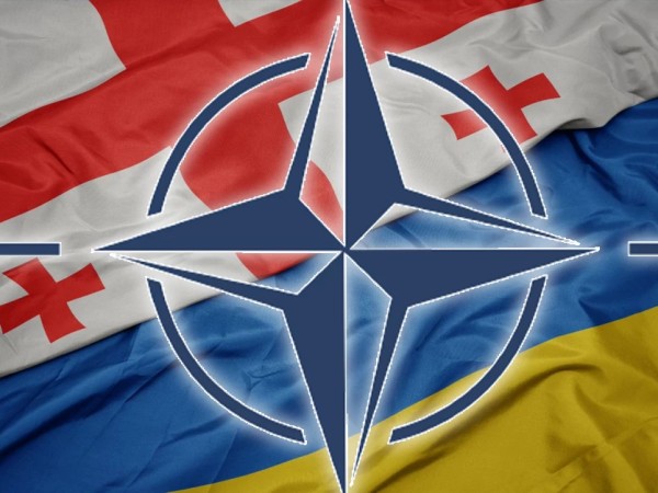 nato saqartvelo