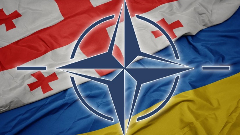 nato saqartvelo