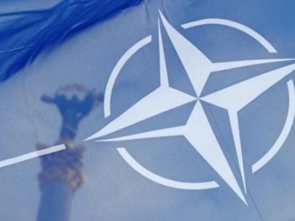 ნატო