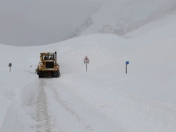 გუდაური კობი