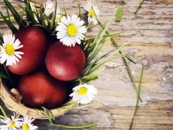 amindi agdgomas amindi agdgomas