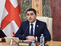 შალვა პაპუაშვილი შალვა პაპუაშვილი