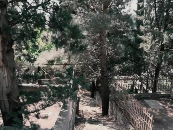 ჯადო