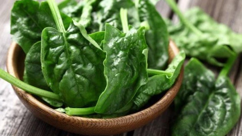 ისპანახის თვისებები