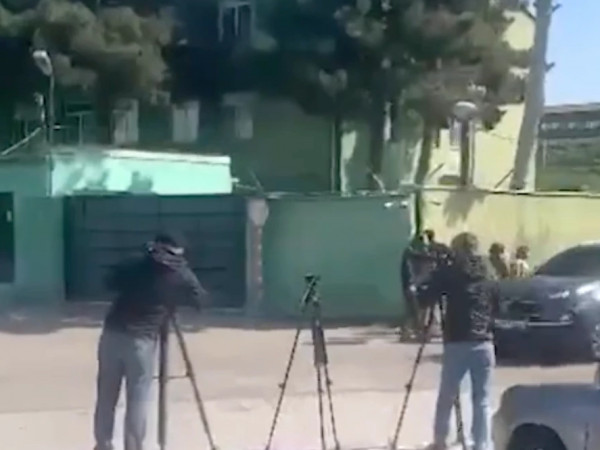 მიშა ვივამედში