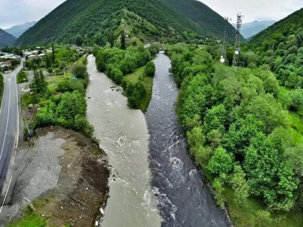 თეთრი და შავი არაგვი