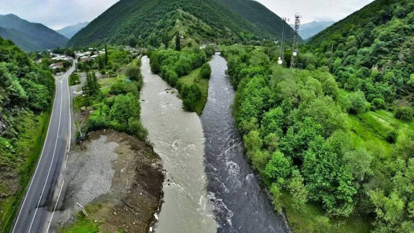 თეთრი და შავი არაგვი