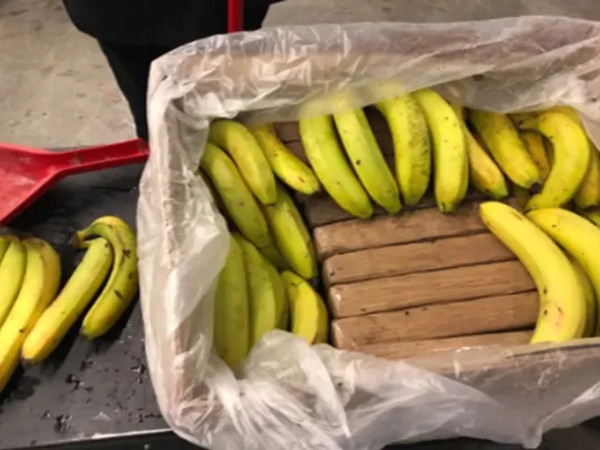 banani 