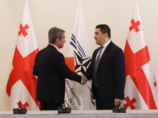 შალვა პაპუაშვილი