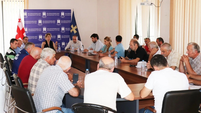 ონის მერია