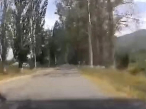 ქარსაცავი