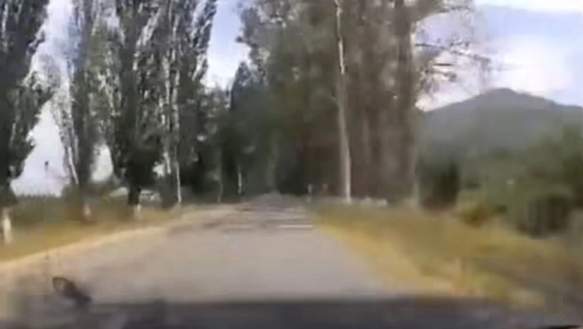 ქარსაცავი