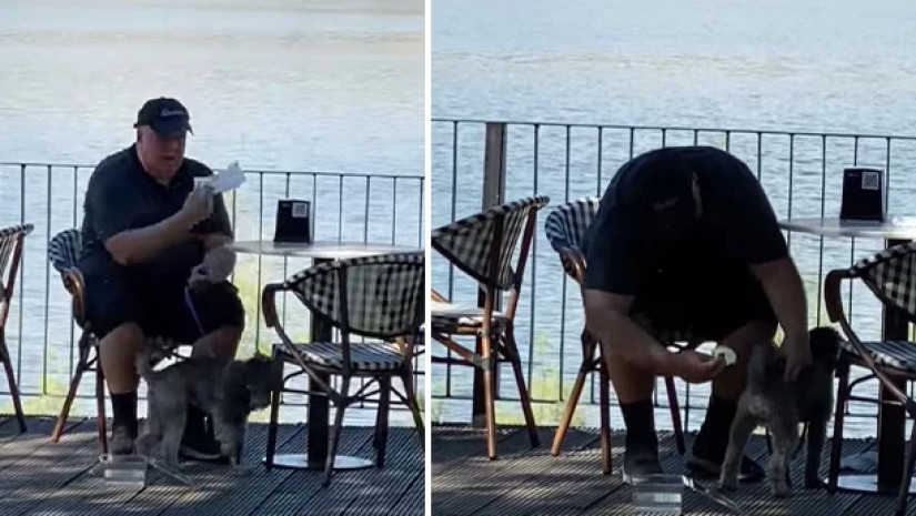 ლისზე ლისზე