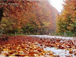 ამინდი