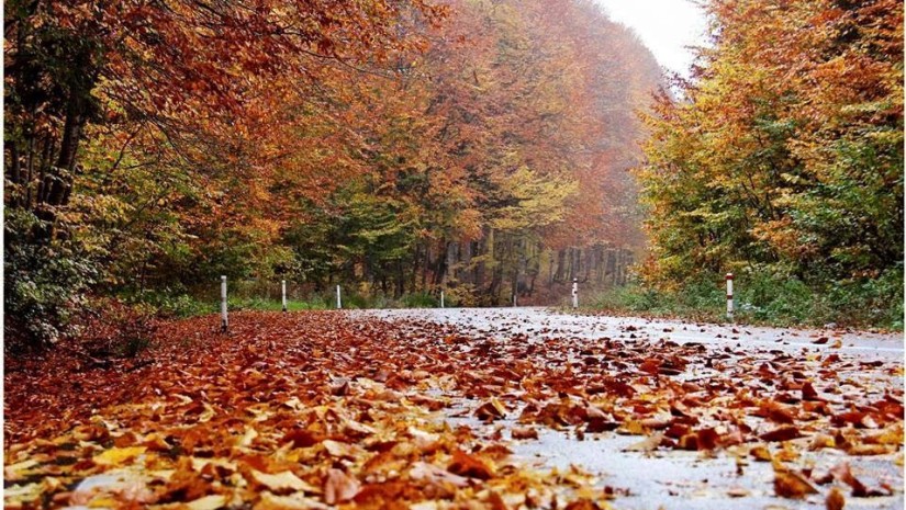 ამინდი