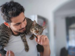  მამაკაცი და კატა