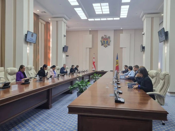 სალომე ზურაბიშვილი მოლდოვის რესპუბლიკის პრემიერ-მინისტრს შეხვდა