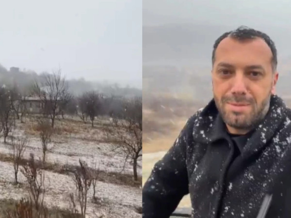 პეტრე კოლხი