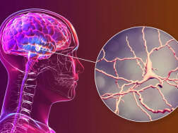 მეცნიერება