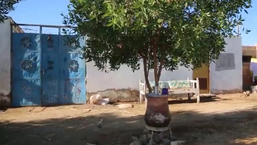 სოფლის სახლი