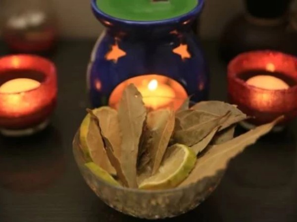 დაფნა დაფნა