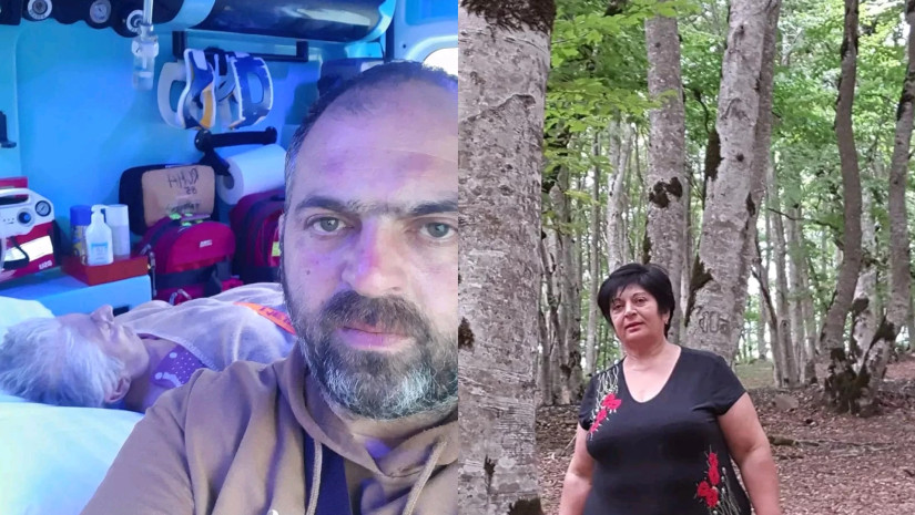 ემიგრანტის ისტორია ემიგრანტის ისტორია