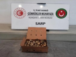 წყლის კუ