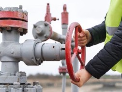 ნავთობი