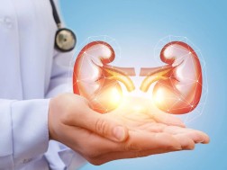 თირკმელი