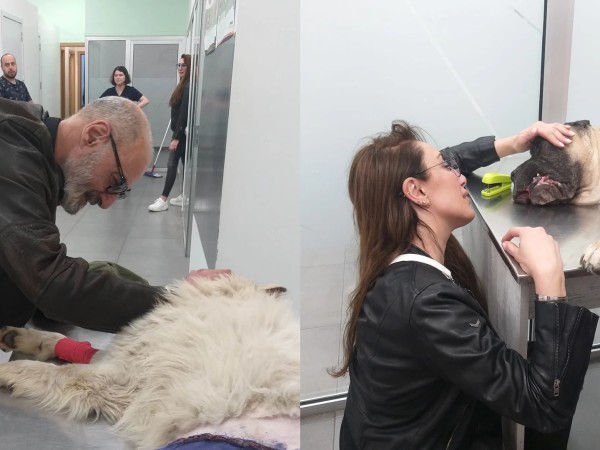 ლენუკა და ზურა