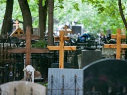 საფლავი საფლავი