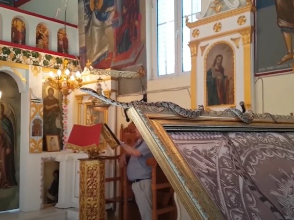 ხატი „გველის ღვთისმშობელი“ ხატი „გველის ღვთისმშობელი“