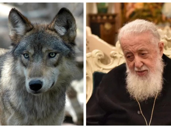 patriarqi