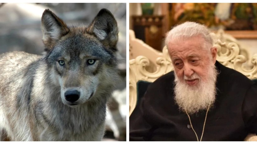 patriarqi patriarqi