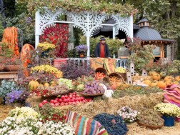 თბილისობა თბილისობა