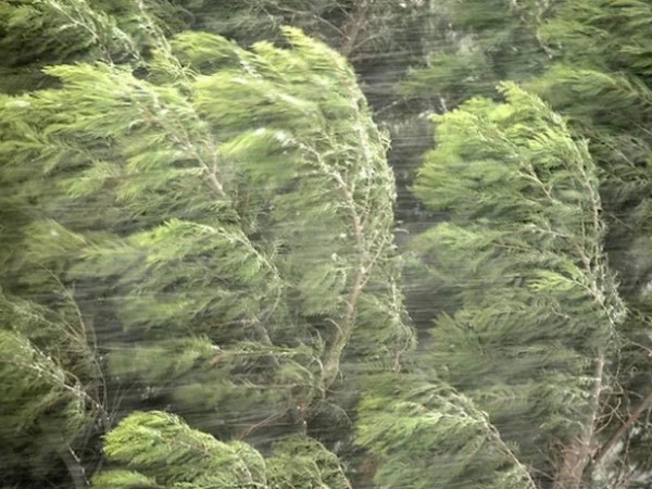 გთავაზობთ რეკომენდაციებს, თუ როგორ უნდა მოვიქცეთ ძლიერი ქარის დროს შენობის შიგნით და მის გარეთ. რეკომენდაციებს საგანგებო სიტუაციების მართვის სამსახური ავრცელებს.  როგორ უნდა მოიქცეთ ძლიერი ქარის დროს შენობის გარეთ იპოვეთ შენობა და შეაფარეთ თავი; დაიცავით 