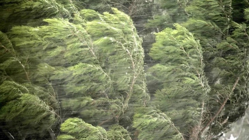 გთავაზობთ რეკომენდაციებს, თუ როგორ უნდა მოვიქცეთ ძლიერი ქარის დროს შენობის შიგნით და მის გარეთ. რეკომენდაციებს საგანგებო სიტუაციების მართვის სამსახური ავრცელებს.  როგორ უნდა მოიქცეთ ძლიერი ქარის დროს შენობის გარეთ იპოვეთ შენობა და შეაფარეთ თავი; დაიცავით 