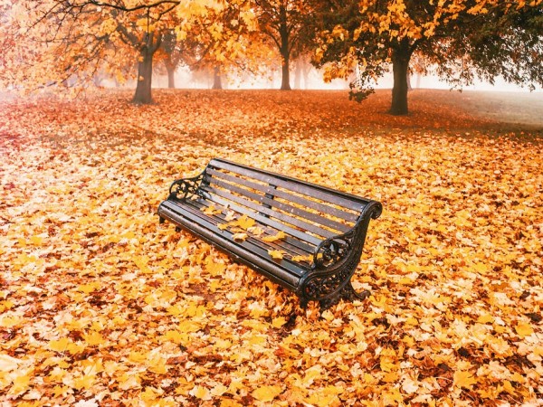 შემოდგომა