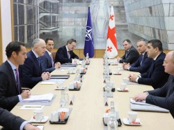 პარლამენტის თავმჯდომარე ნატო-ს გენერალური მდივნის მოადგილეს შეხვდა