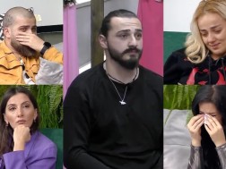 მონაწილეები
