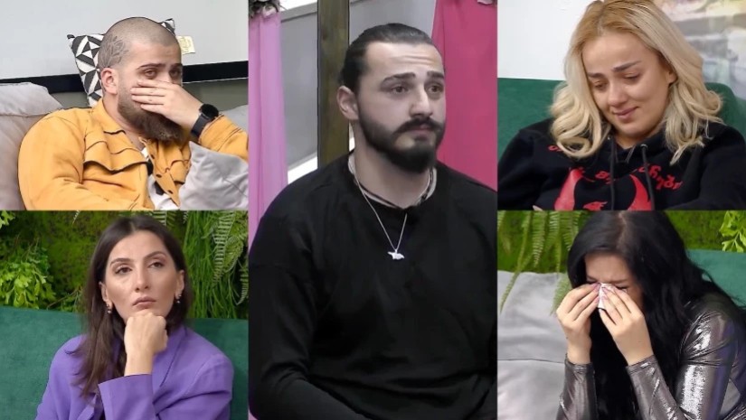 მონაწილეები