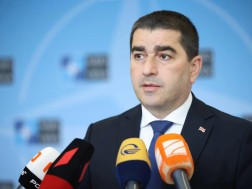 შალვა პაპუაშვილი