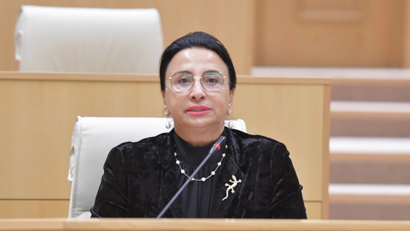 რიმა ბერაძე ოპოზიციას