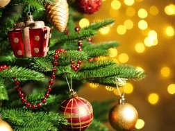 ნაძვის ხე ნაძვის ხე