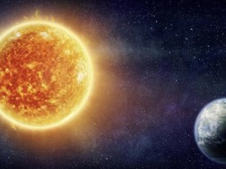 მზებუდობა