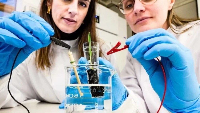 მეცნიერები